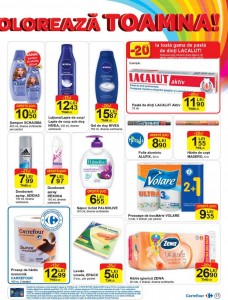 carrefour-a-05112015-18